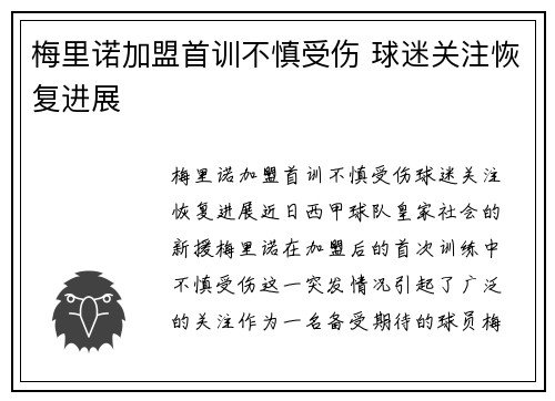 梅里诺加盟首训不慎受伤 球迷关注恢复进展